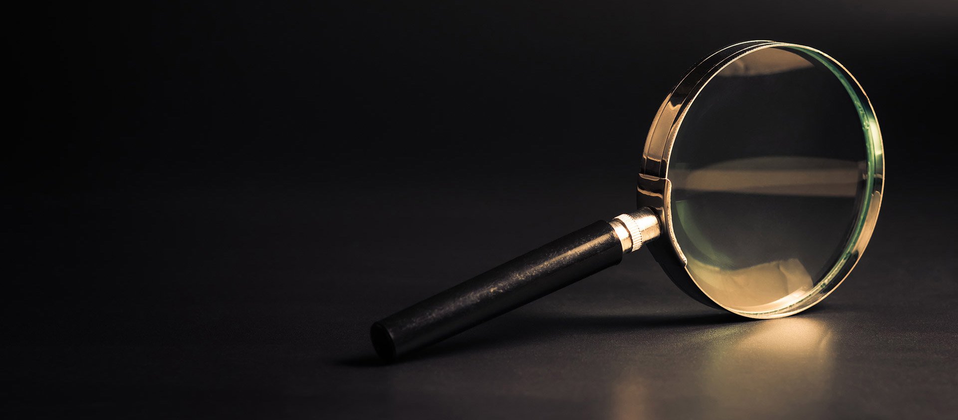 converted_AdobeStock_294230796-1